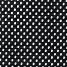 Μαύρο Δίχτυ