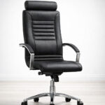 Διευθυντικό Κάθισμα Line D