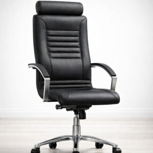 Διευθυντικό Κάθισμα Line D