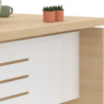 Διευθυντικό Γραφείο Lysis Plus – εικόνα 2