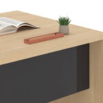 Διευθυντικό Γραφείο VIP LIGHT – εικόνα 2